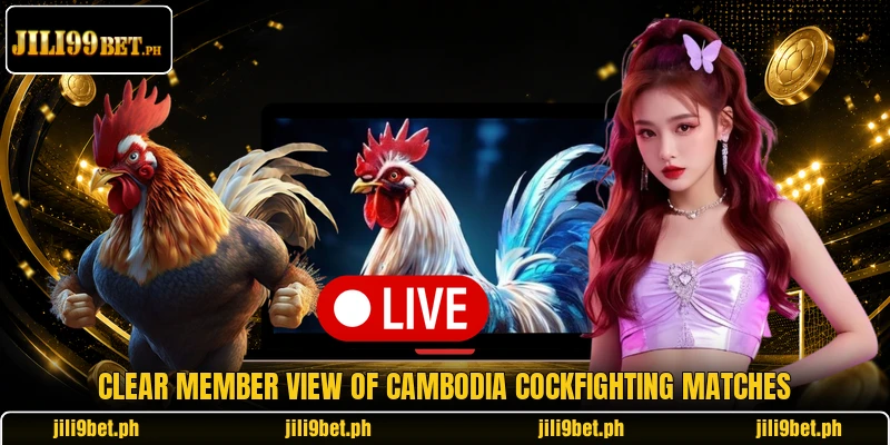 Clear member view of Cambodia cockfighting matches