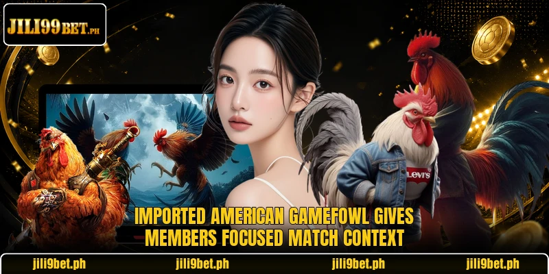 Imported American gamefowl gives members focused match context