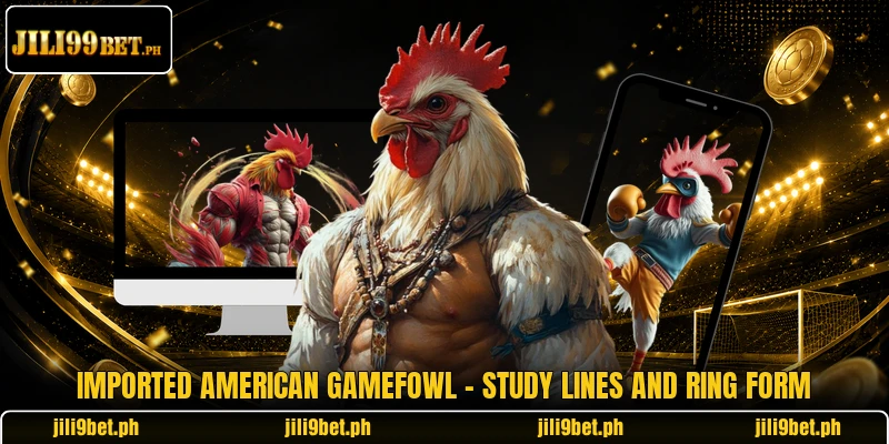 Imported American Gamefowl - Study Lines And Ring Form