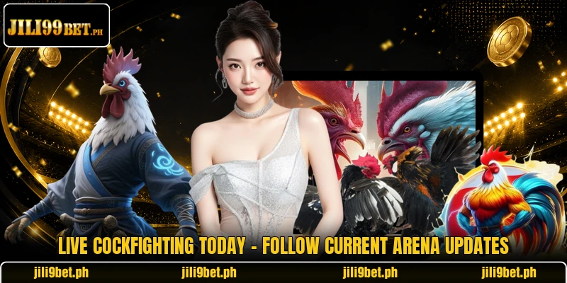 Live Cockfighting Today - Follow Current Arena Updates