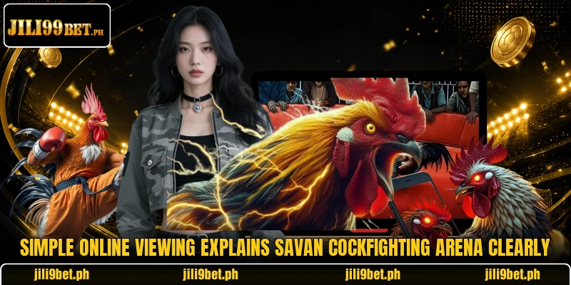 Simple online viewing explains Savan cockfighting arena clearly Simple online viewing explains Savan cockfighting arena clearly